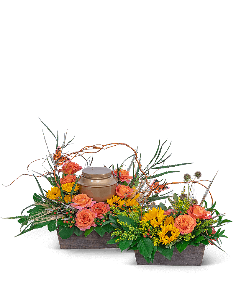 Sunset Reflections Tribute