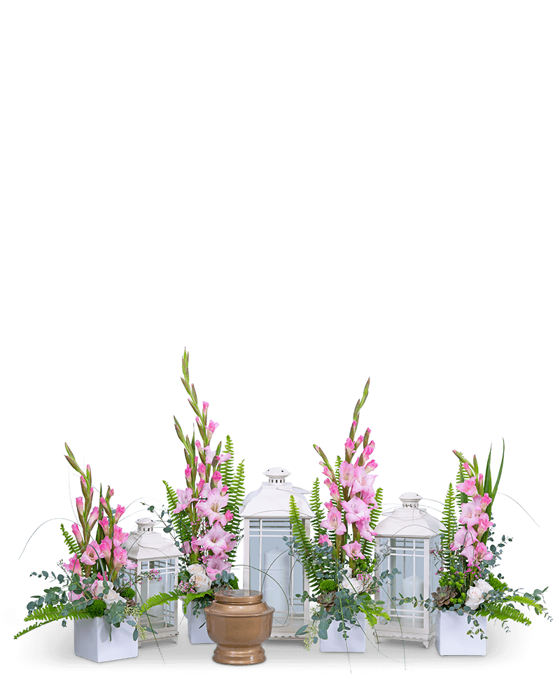 Light of Peace Tribute