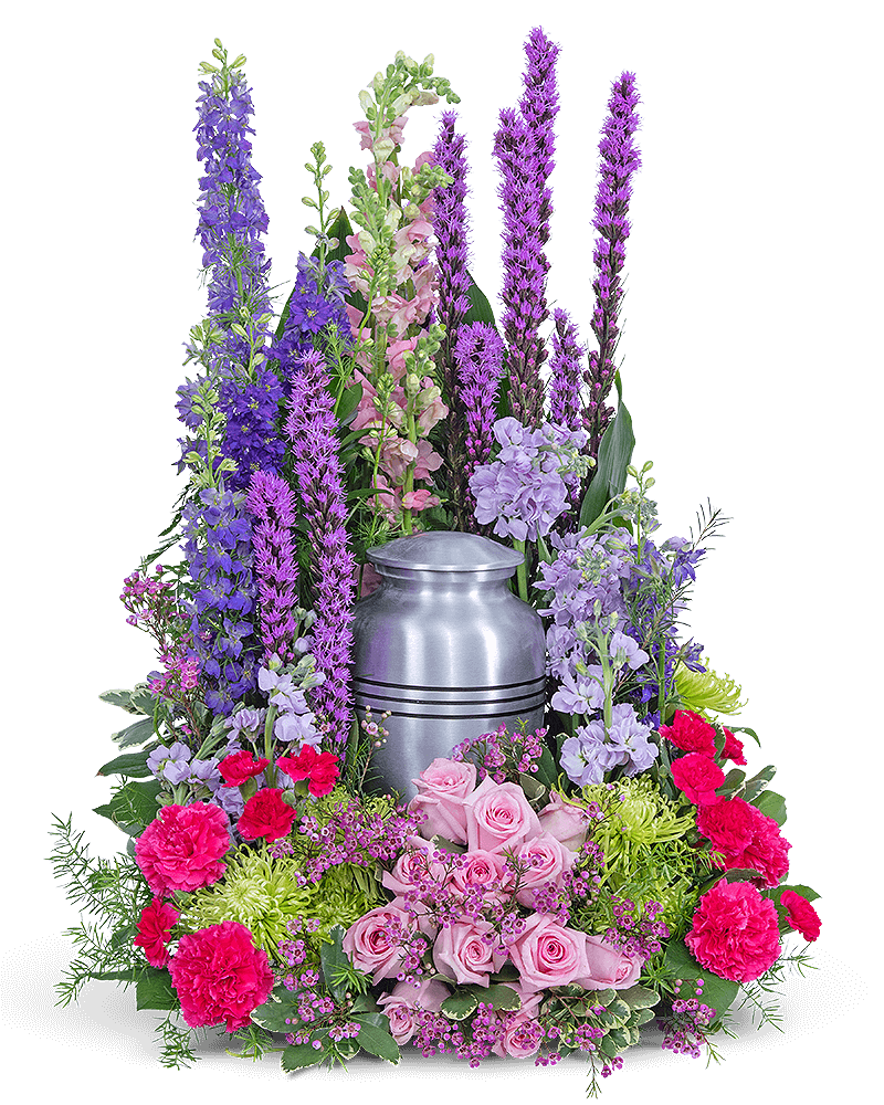 Garden of Life Surround