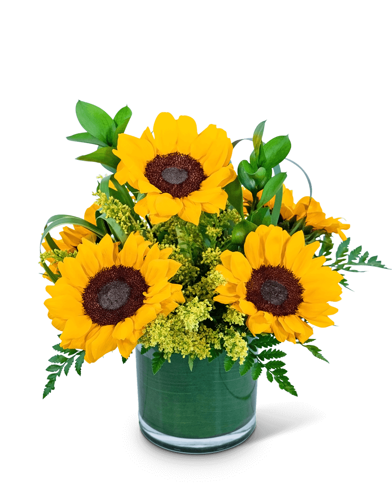 Sunshine Sunflowers