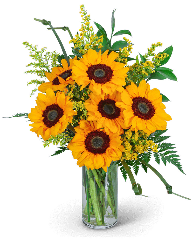 Sunflowers and Love Knots