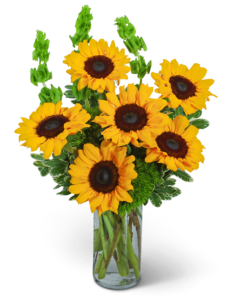 Sunflowers and Bells