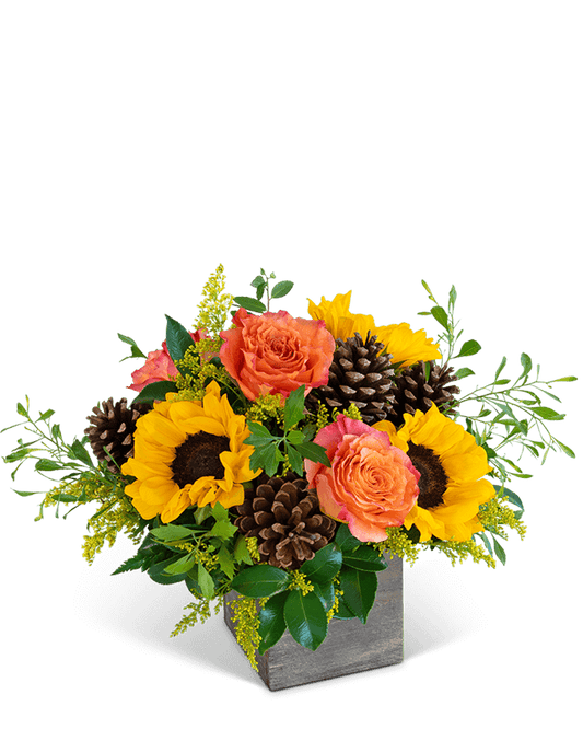 Harvest Sunburst Harmony