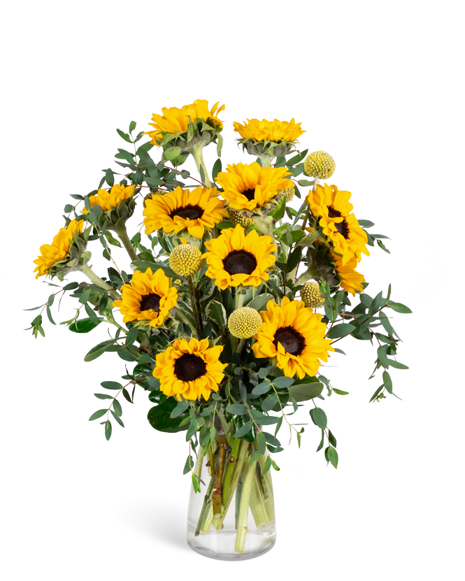 Wildflower Sunshine