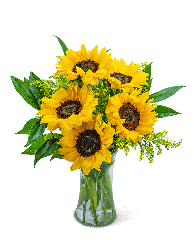 Sprinkle of Sunflowers