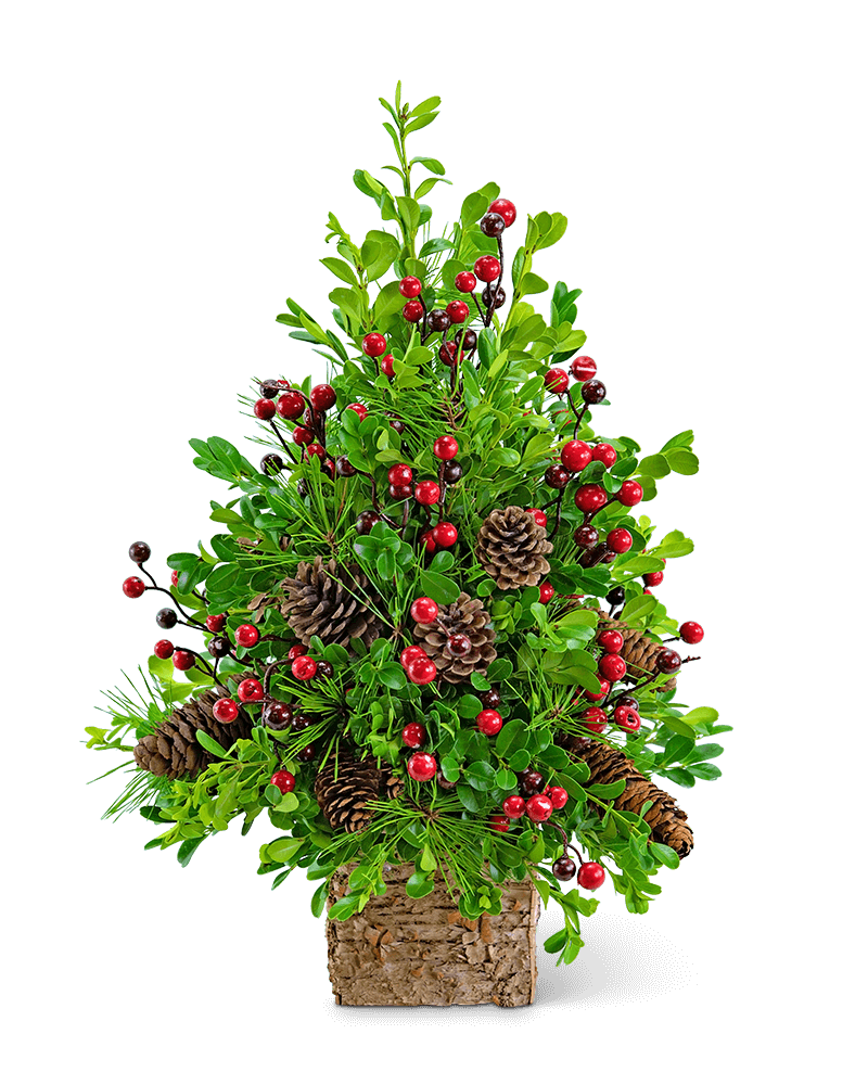 Adorned Boxwood Tree