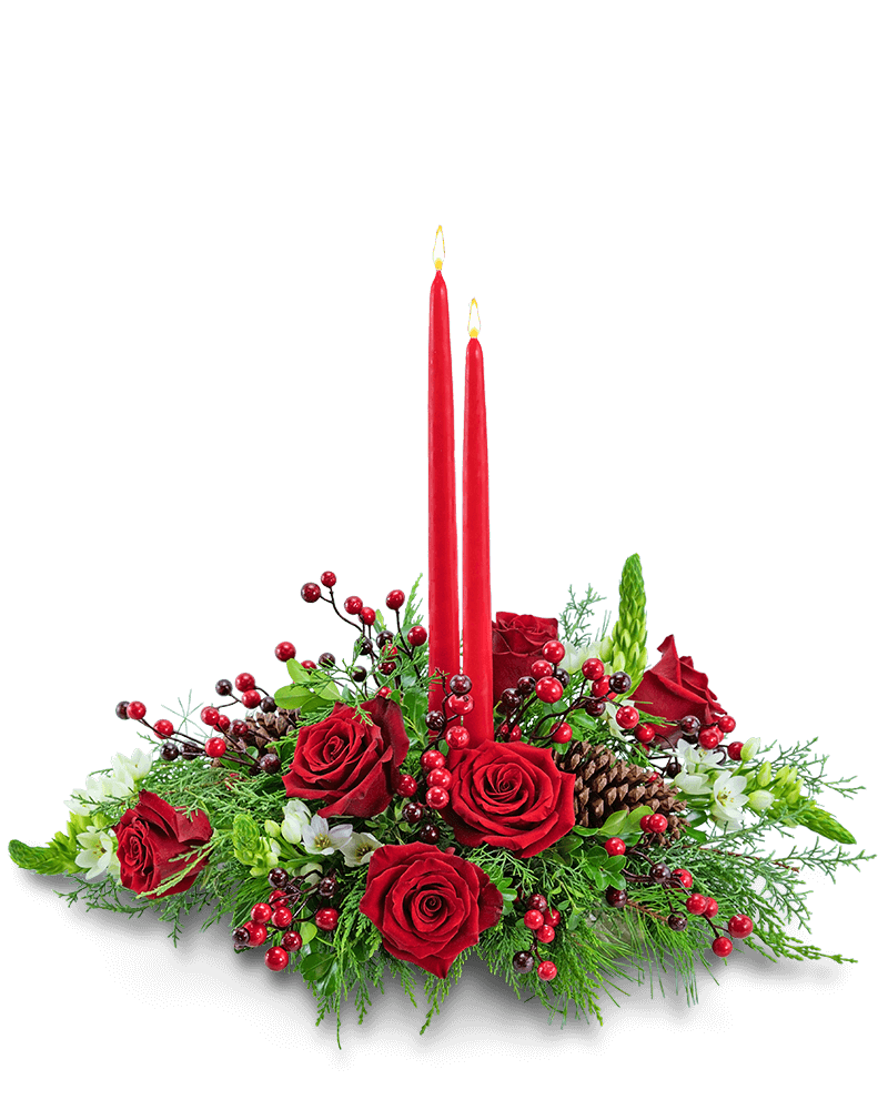 Home for the Holidays