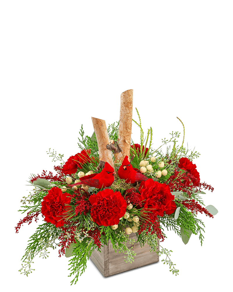 Woodland Cardinal Cheer