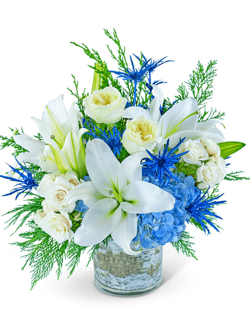 Shimmering Winter Sky