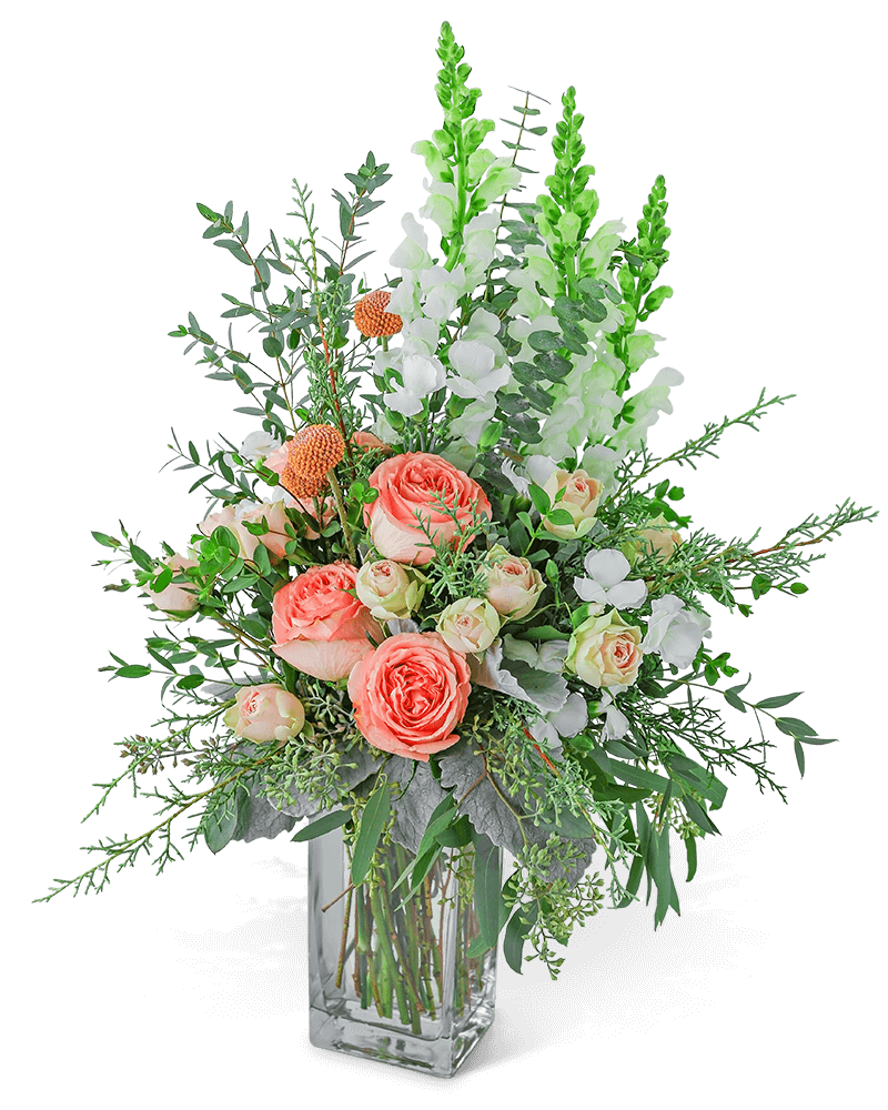 Whimsical Winter Wishes