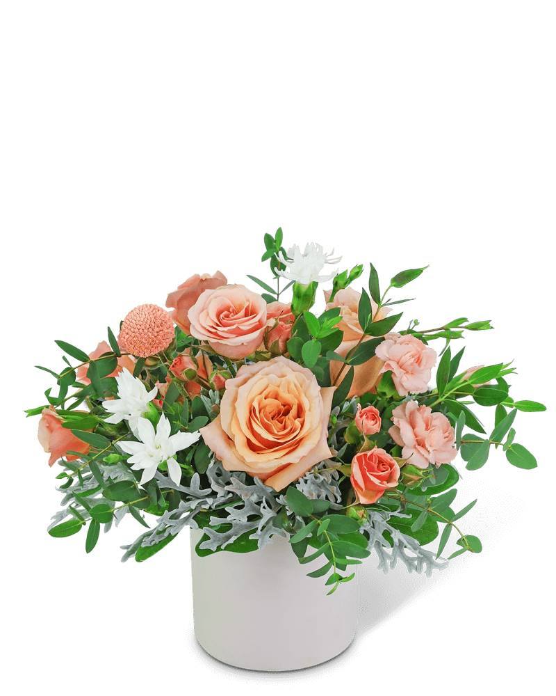 Waltz of the Blossoms