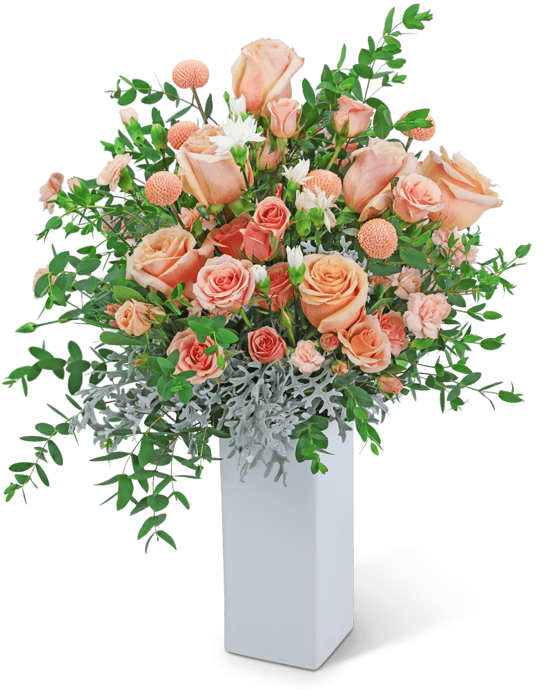 Dancing Peach Blossoms