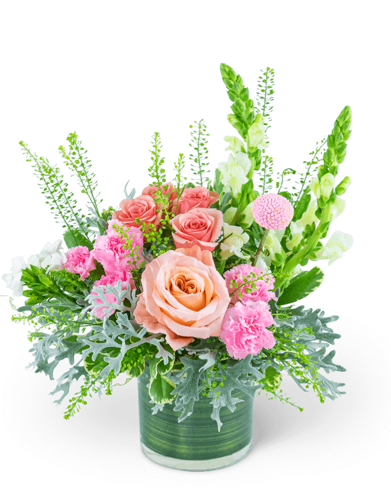 Rosy Coral Romance