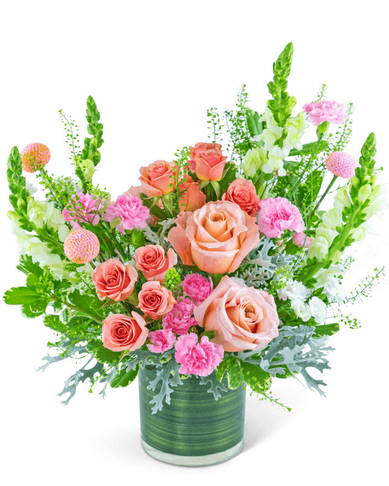 Rosy Coral Sundance