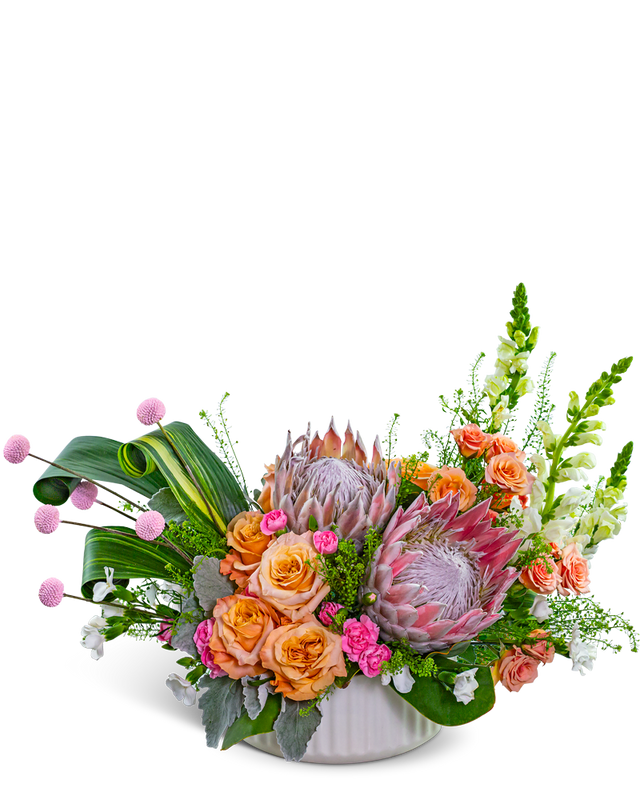 Prosecco Protea