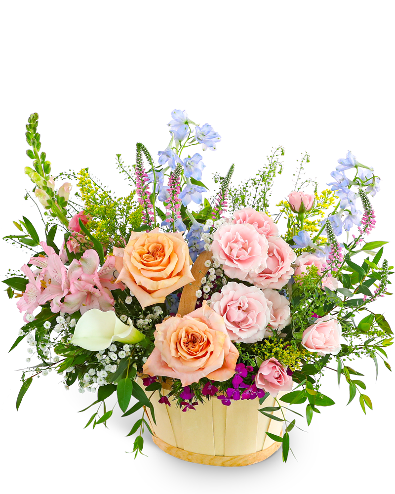 Botanical Bloom Basket