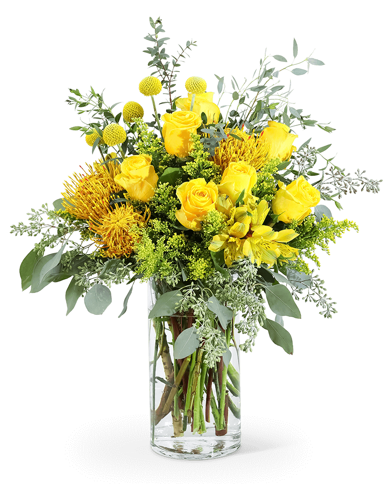 Yellow Vibrance