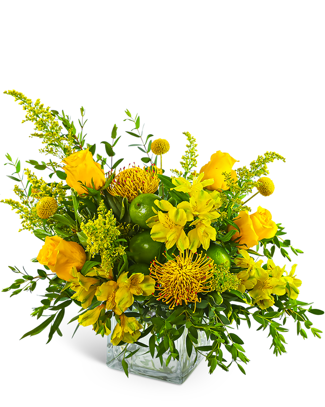 Zest and Sunshine