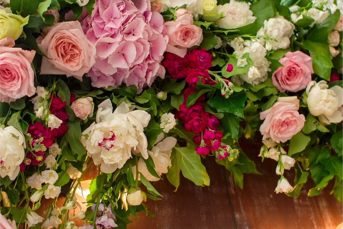 Collector Roses Luxe Collection – Roses Are Red Florist
