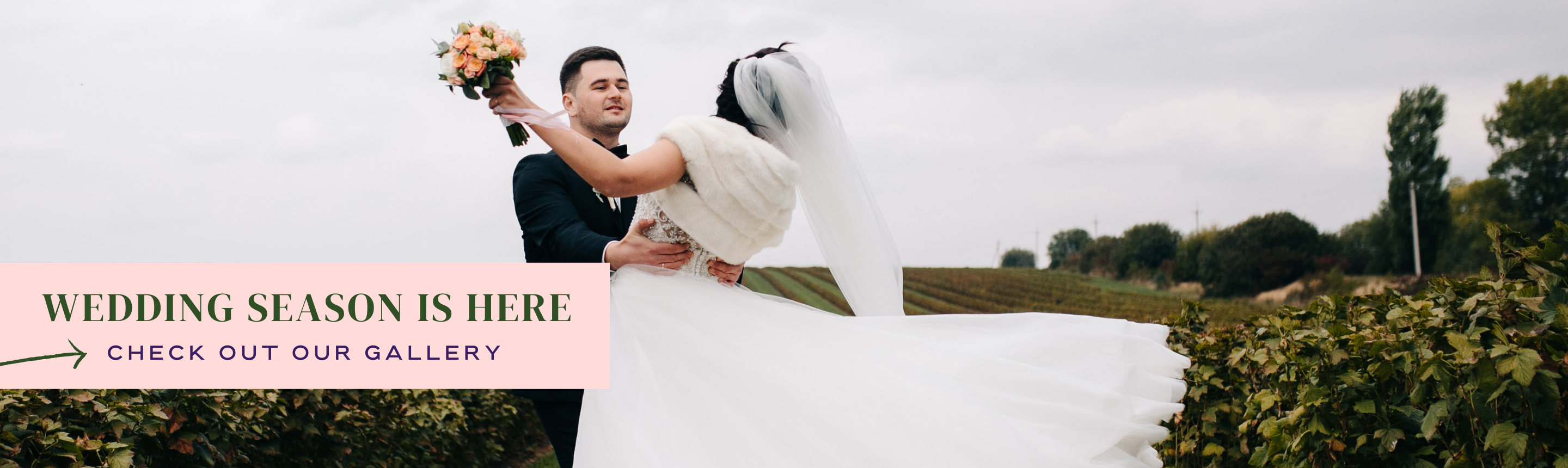 Wedding Packages