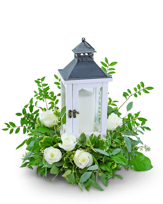 Signature White Rose Lantern
