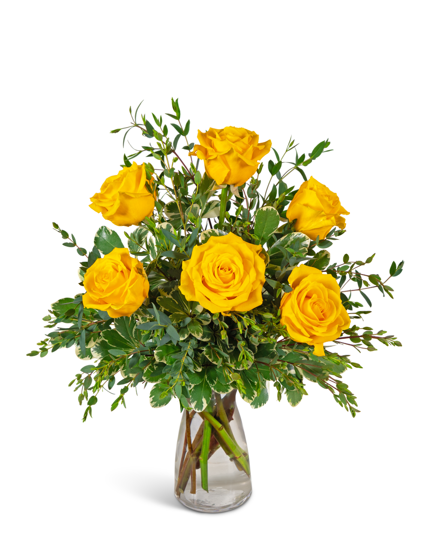Half Dozen Yellow Roses
