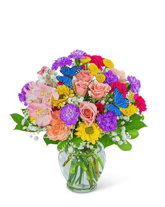Butterfly Blooms