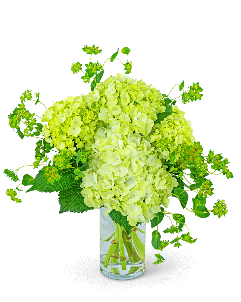 Green Glow
