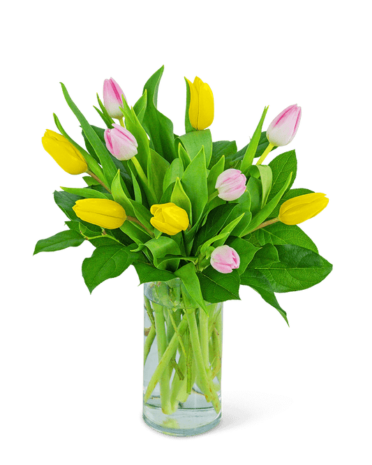 Strawberry Lemonade Tulips