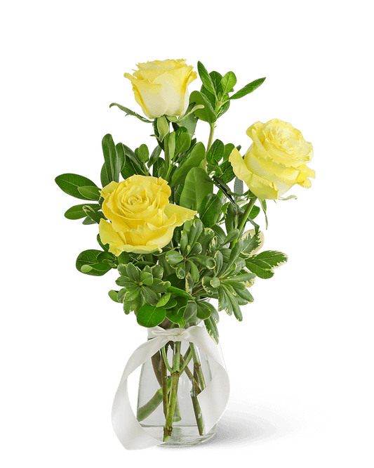Three Yellow Roses