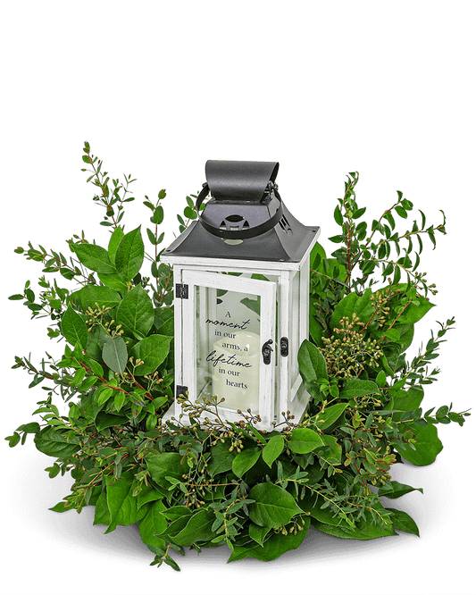 Light in the Shadows Lantern