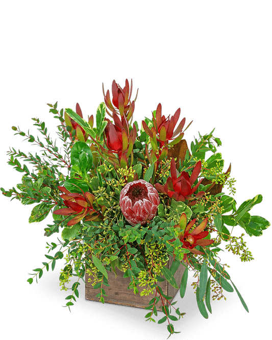 Wild and Lush Protea