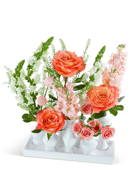Coral Pop Bud Vase Blooms