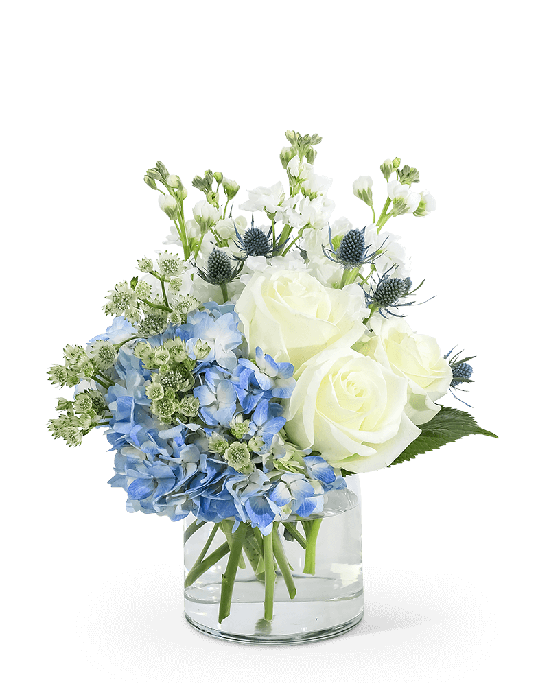 Unfresh Roses Renewed Fresh – Roses Are Red Florist