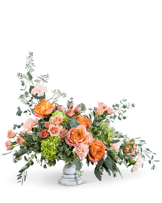 Coral Compote