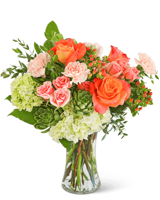 Malibu Sun with Succulents