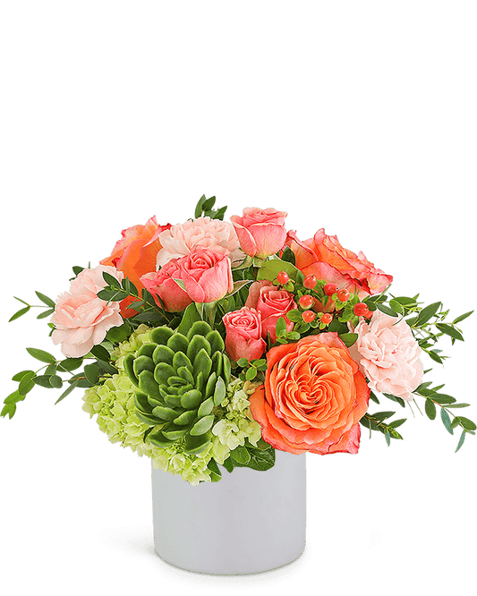 Malibu Magic with Succulents