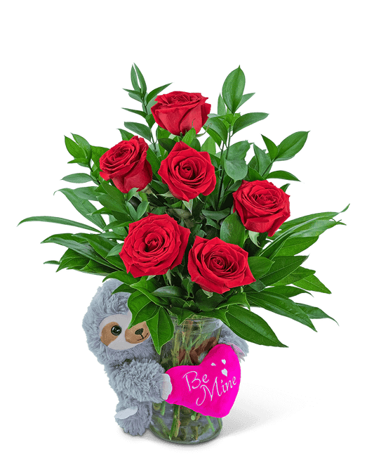 Be Mine Classic Six Red Roses with Sloth