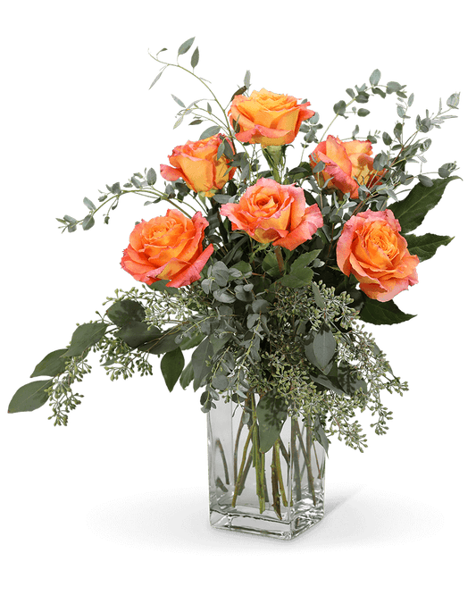 Free Spirit Roses (6)