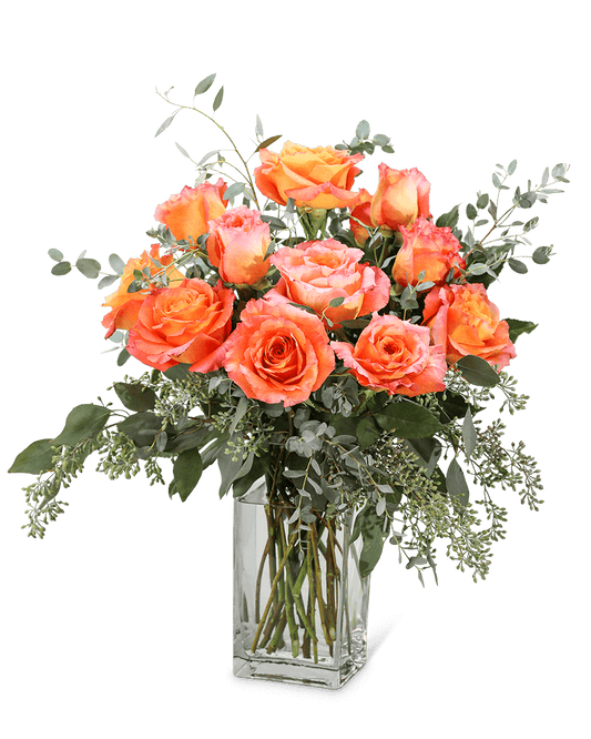 Free Spirit Roses (12)