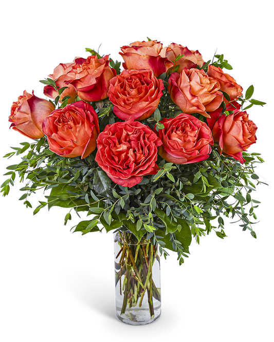 One Dozen Wild Spirit Roses