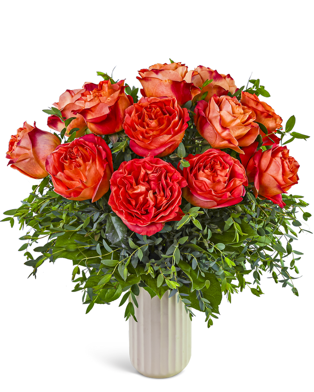 One Dozen Chic Wild Spirit Roses