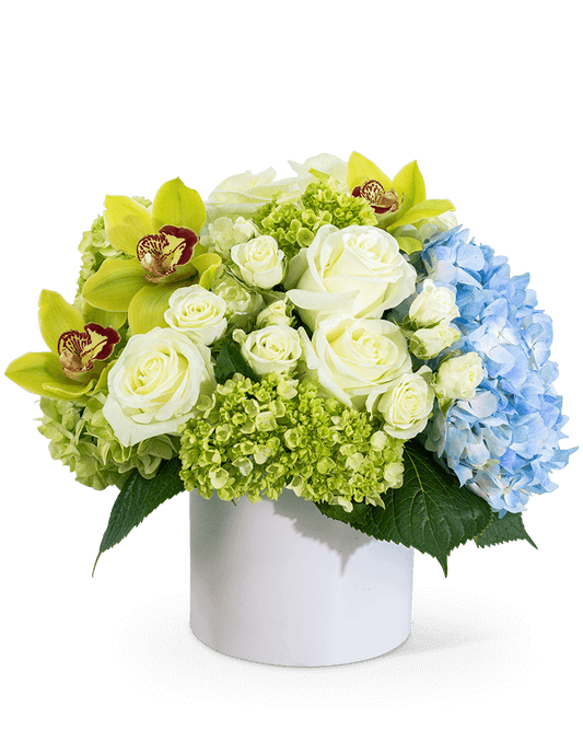 Luxe Home Garden with Orchids