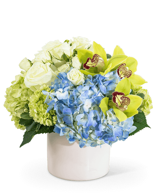 Home Garden with Orchids