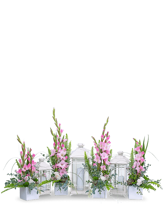 Light in the Darkness