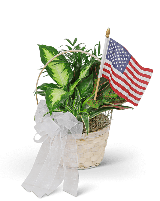 Patriotic Planter