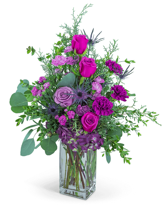 Midnight Magenta