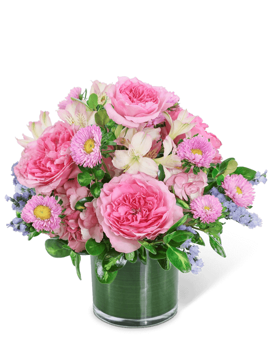 Ethereal Pink Clouds