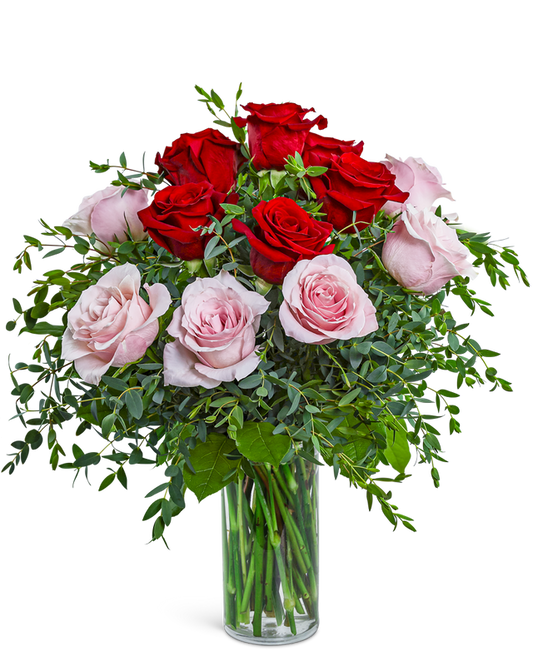 One Dozen Perfect Pink and Red Roses