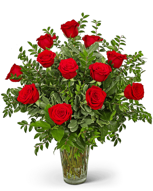 One Dozen Elegant Red Roses